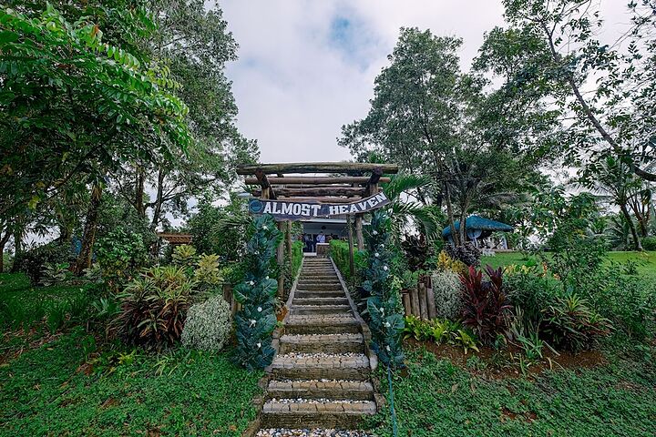Primary image