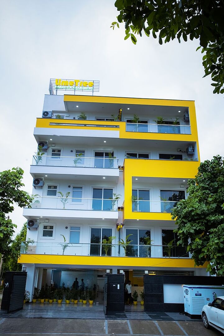 Primary image