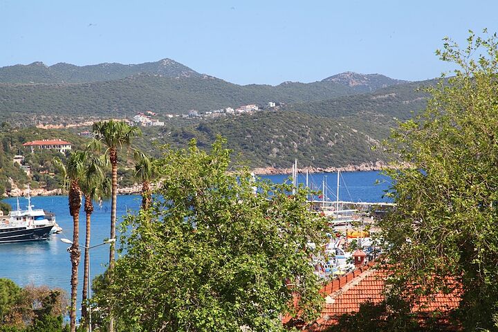 Primary image
